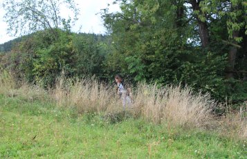 Meadow Karl Friesenbichler