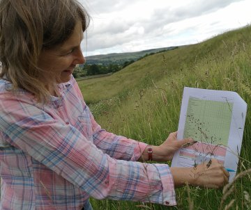 Meadow survey